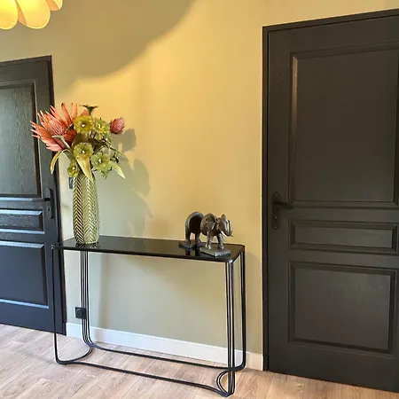 Sous Les Etoiles De Saint-Paimboeuf